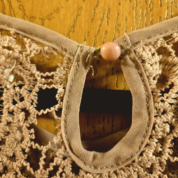 Lace Overlay Beige Dress - Picture 7 of 7